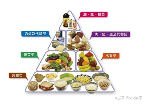 食物金|营养金字塔